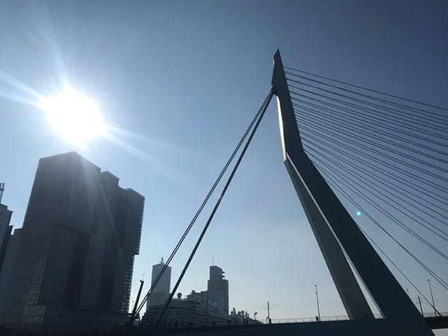 bedrijfsuitjes fotografie photowalks