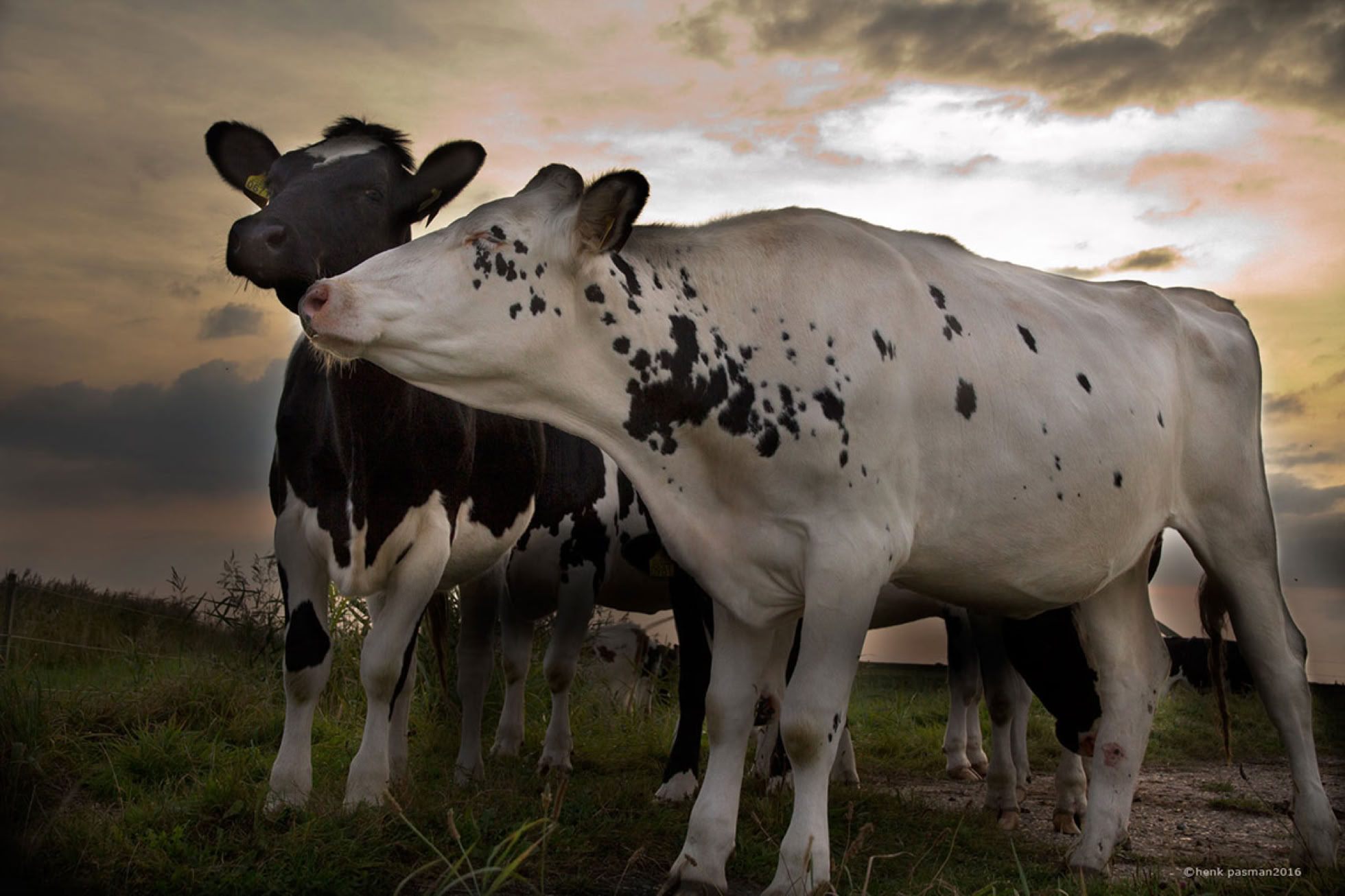 basiscursus fotografie rotterdam de cursus voor beginners fotografie rotterdam