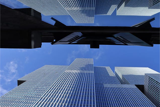 bedrijfsuitjes fotografie photowalks rotterdam